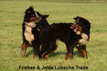 Frisbee & Jelda Lbsche Trade