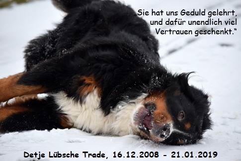 Detje Lbsche Trade, 16.12.2008 - 21.01.2019