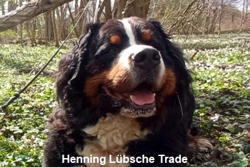 Henning Lbsche Trade