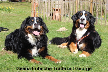 Geena Lbsche Trade mit George