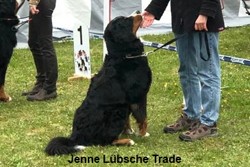 Jenne Lbsche Trade