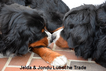 Jelda & Jondu Lbsche Trade