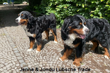 Jenne & Jondu Lbsche Trade