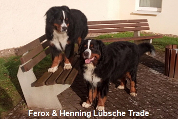 Ferox & Henning Lbsche Trade