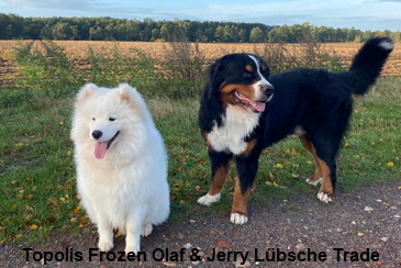 Topolis Frozen Olaf & Jerry Lbsche Trade
