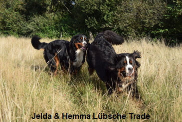 Jelda & Hemma Lbsche Trade