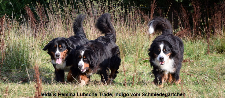 Jelda & Hemma Lbsche Trade, Indigo vom Schmiedegrtchen