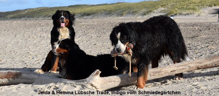 Jelda & Hemma Lbsche Trade, Indigo vom Schmiedegrtchen