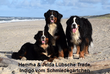 Hemma & Jelda Lbsche Trade, Indigo vom Schmiedegrtchen