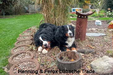 Henning & Ferox Lbsche Trade