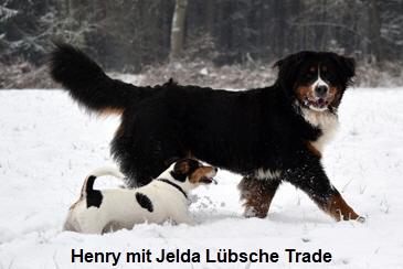 Henry mit Jelda Lbsche Trade
