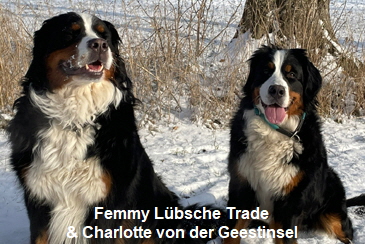 Femmy Lbsche Trade & Charlotte von der Geestinsel