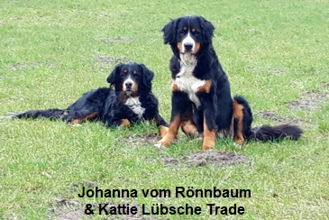 Johanna vom Rnnbaum & Kattie Lbsche Trade