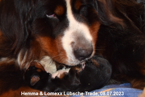 Hemma & Lomexx Lbsche Trade, 08.07.2023