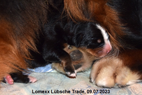 Lomexx Lbsche Trade, 09.07.2023