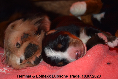 Hemma & Lomexx Lbsche Trade, 10.07.2023
