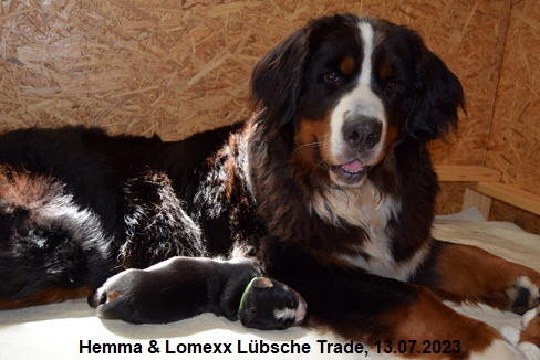 Hemma & Lomexx Lbsche Trade, 13.07.2023