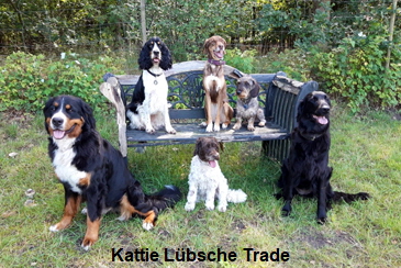 Kattie Lbsche Trade