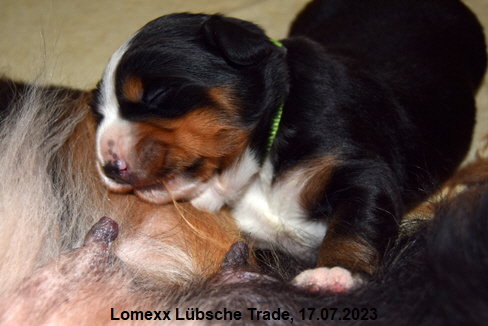 Lomexx Lbsche Trade, 17.07.2023