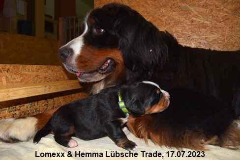 Lomexx & Hemma Lbsche Trade, 17.07.2023