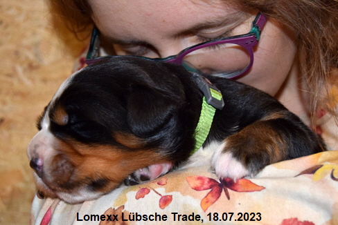 Lomexx Lbsche Trade, 18.07.2023