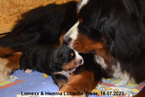 Lomexx & Hemma Lbsche Trade, 18.07.2023