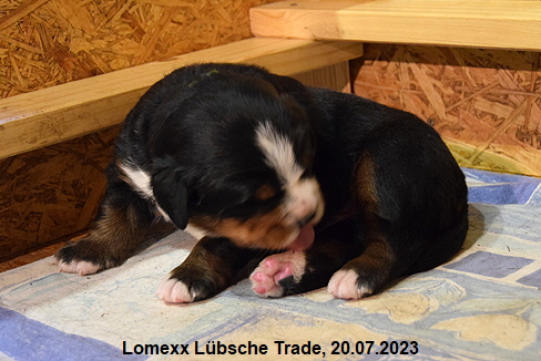 Lomexx Lbsche Trade, 20.07.2023
