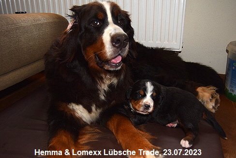 Hemma & Lomexx Lbsche Trade, 23.07.2023