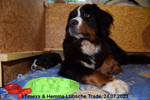 Lomexx & Hemma Lbsche Trade, 24.07.2023