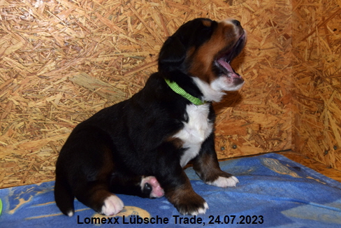 Lomexx Lbsche Trade, 24.07.2023