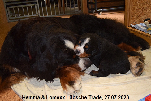 Hemma & Lomexx Lbsche Trade, 27.07.2023