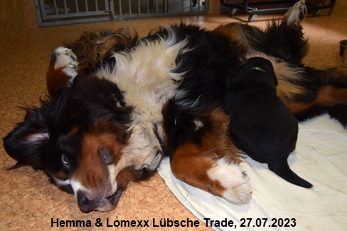 Hemma & Lomexx Lbsche Trade, 27.07.2023