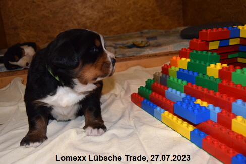 Lomexx Lbsche Trade, 27.07.2023