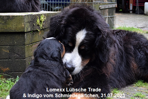 Lomexx Lbsche Trade & Indigo vom Schmiedegrtchen, 31.07.2023