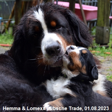 Hemma & Lomexx Lbsche Trade, 01.08.2023
