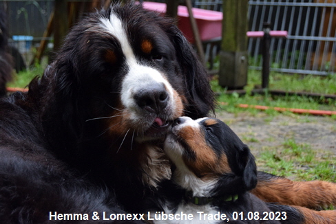 Hemma & Lomexx Lbsche Trade, 01.08.2023