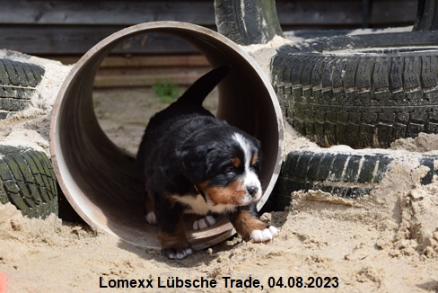 Lomexx Lbsche Trade, 04.08.2023