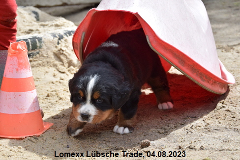 Lomexx Lbsche Trade, 04.08.2023