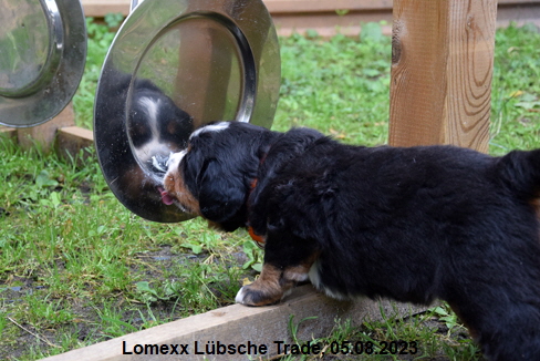Lomexx Lbsche Trade, 05.08.2023