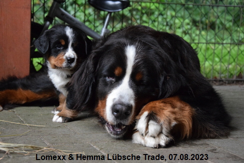 Lomexx & Hemma Lbsche Trade, 07.08.2023