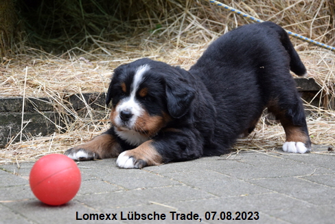 Lomexx Lbsche Trade, 07.08.2023