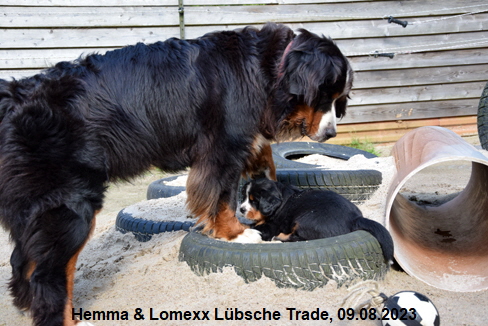Hemma & Lomexx Lbsche Trade, 09.08.2023