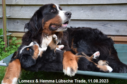 Lomexx & Hemma Lbsche Trade, 11.08.2023