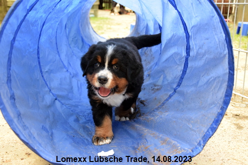 Lomexx Lbsche Trade, 14.08.2023