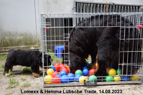 Lomexx & Hemma Lbsche Trade, 14.08.2023