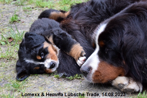 Lomexx & Hemma Lbsche Trade, 14.08.2023