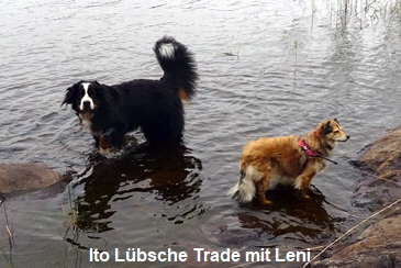 Ito Lbsche Trade mit Leni