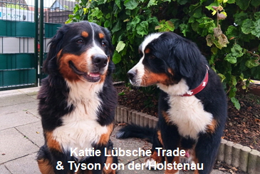 Kattie Lbsche Trade & Tyson von der Holstenau