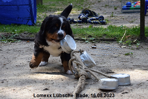 Lomexx Lbsche Trade, 16.08.2023