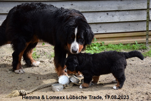 Hemma & Lomexx Lbsche Trade, 17.08.2023